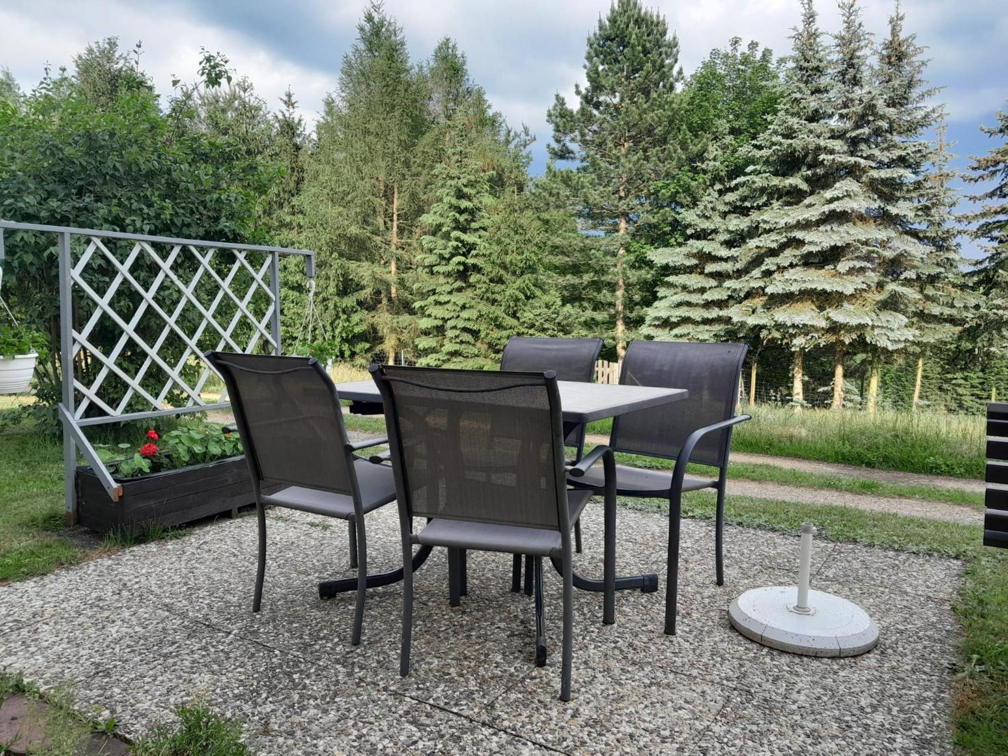 Ferienwohnung Blick Zum Zirkelstein Reinhardtsdorf-Schona Exterior foto