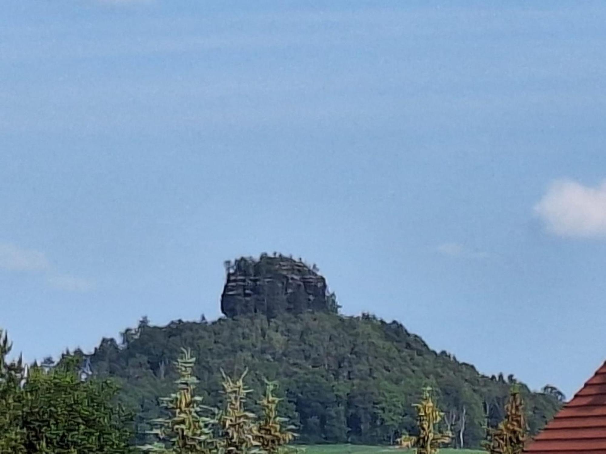Ferienwohnung Blick Zum Zirkelstein Reinhardtsdorf-Schona Exterior foto