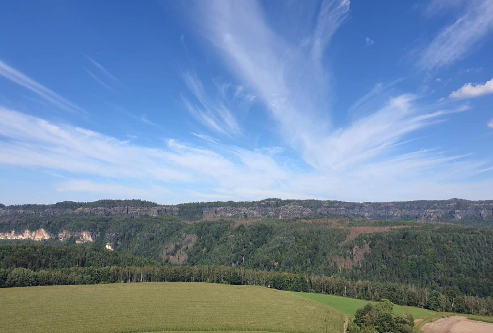 Ferienwohnung Blick Zum Zirkelstein Reinhardtsdorf-Schona Exterior foto