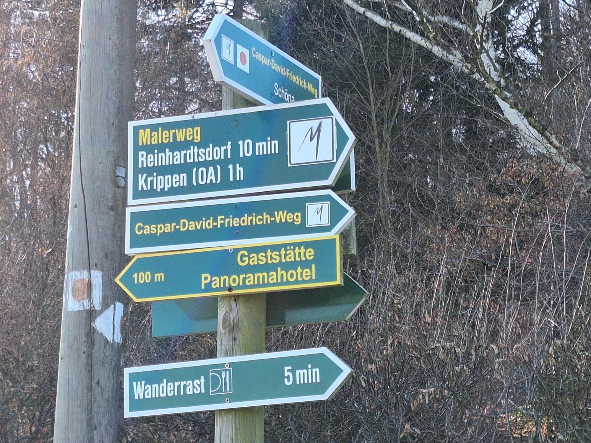 Ferienwohnung Blick Zum Zirkelstein Reinhardtsdorf-Schona Exterior foto